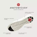 Anatomicush